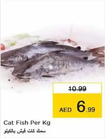 Nesto Cat Fish Per Kg offer