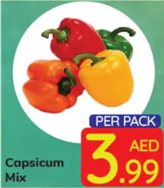 Day To Day Capsicum Mix offer