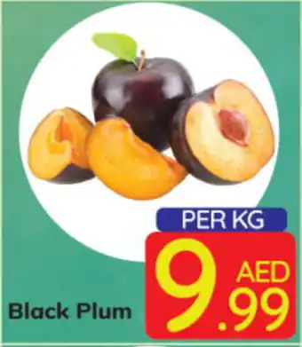 Day To Day Black Plum offer