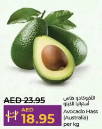 Lulu Hypermarket Avocado Hass Australia per kg offer