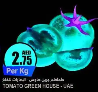 Almaya supermarket TOMATO GREEN HOUSE offer