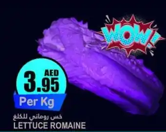 Almaya supermarket LETTUCE ROMAINE offer