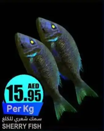 Almaya supermarket SHERRY FISH offer