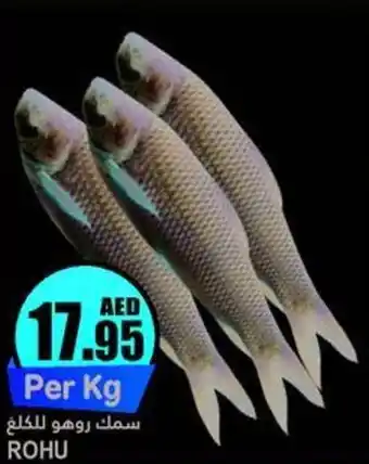 Almaya supermarket ROHU offer