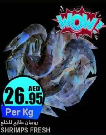 Almaya supermarket SHRIMPS FRESH offer
