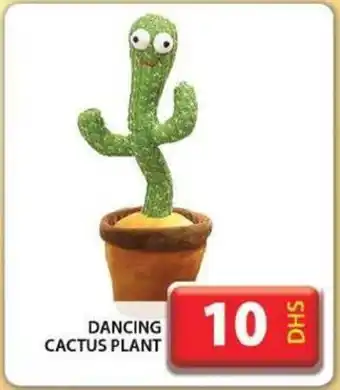 Grand Hyper Market DANCING CACTUS PLANT offer