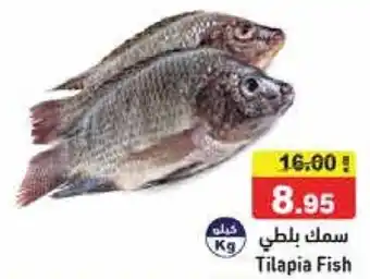 Aswaq Ramez Tilapia Fish offer