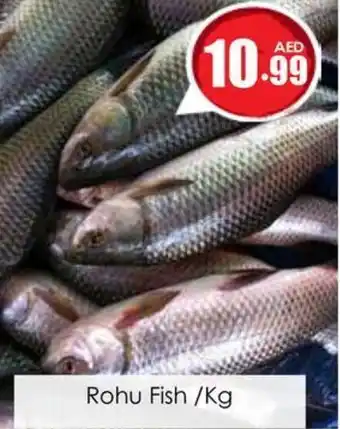 Amber Rohu Fish /Kg offer