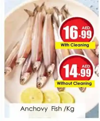 Anchovy Fish /Kg