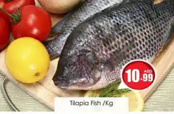 Amber Tilapia Fish /Kg offer