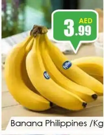 Amber Banana Philippines /Kg offer