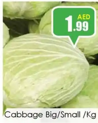 Amber Cabbage Big/Small /Kg offer