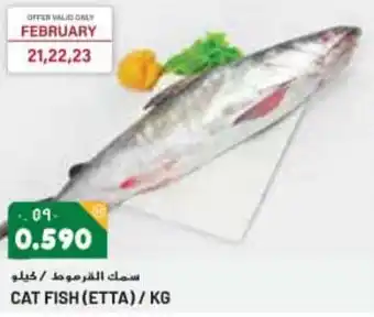 Grand Mall Sharjah CAT FISH (ETTA) / KG offer
