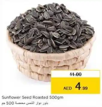 Nesto Sunflower Seed Roasted 500gm offer