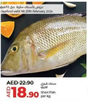 Lulu Hypermarket Sheri Fish per kg offer