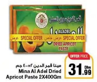 E City Mina Al Adel Dried Apricot Paste 2X400Gm offer