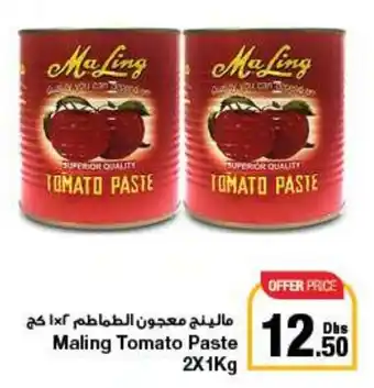 E City Maling Tomato Paste 2 x 1kg offer