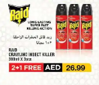 RAID CRAWLING INSECT KILLER 300ML X3PCS