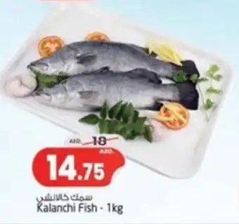 Safari Hypermarket Kalanchi Fish 1kg offer