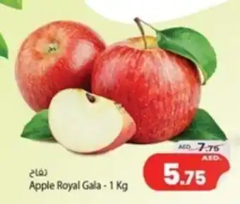 Safari Hypermarket Apple Royal Gala - 1 Kg offer