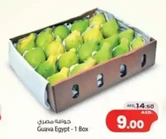 Safari Hypermarket Guava Egypt - 1 Box offer