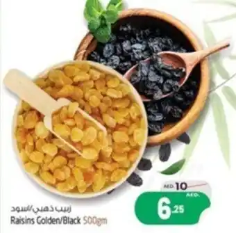 Safari Hypermarket Raisins Golden / Black 500gm offer