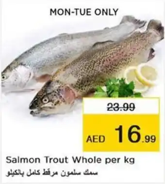 Nesto Salmon Trout Whole per kg offer