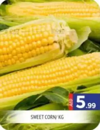 Al Madina SWEET CORN PER KG offer