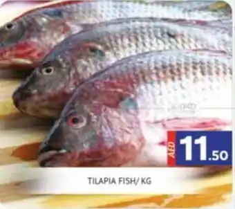 Al Madina TILAPIA FISH PER KG offer