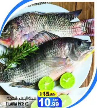 Hashim Hypermarket TILAPIA PER KG offer