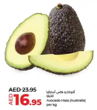 Lulu Hypermarket Avocado Hass per kg offer