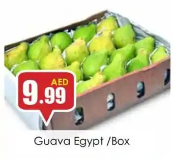 Amber Guava /Box offer