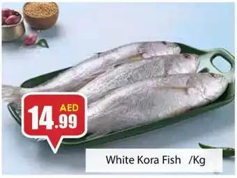 Amber White Kora Fish /Kg offer