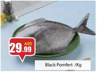 Amber Black Pomfert /Kg offer