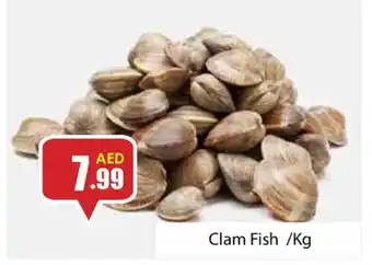 Amber Clam Fish /Kg offer