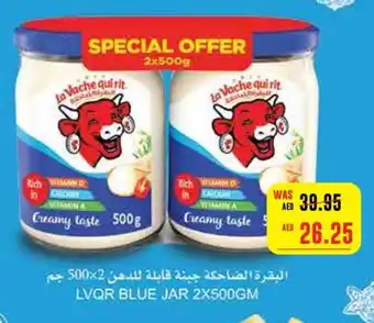 Megamart LVQR BLUE JAR 2X500GM offer