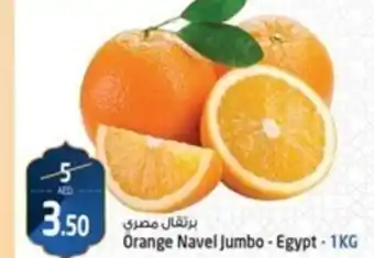 Safari Hypermarket Orange Navel Jumbo - Egypt - 1KG offer