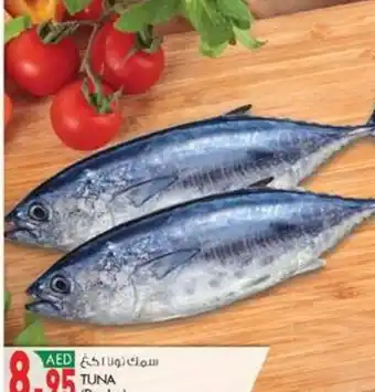 KM Trading TUNA (Per kg) offer