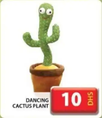 Grand Hyper Market DANCING CACTUS PLANT offer