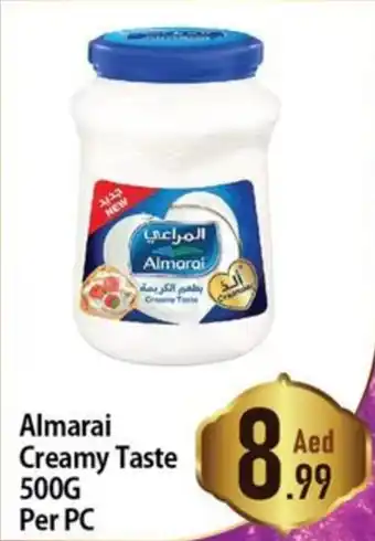Day To Day Almarai Creamy Taste 500G Per PC offer