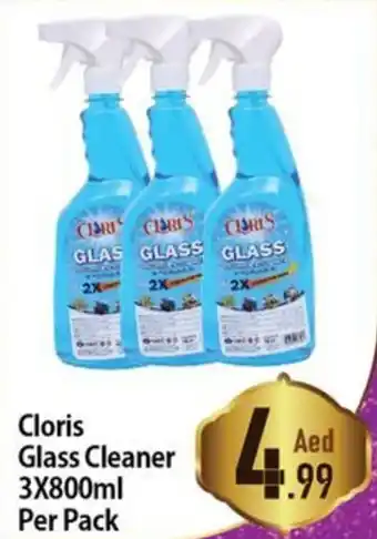 Day To Day Cloris Glass Cleaner 3X800ml Per Pack offer
