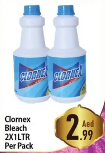 Day To Day Clornex Bleach 2X1LTR Per Pack offer