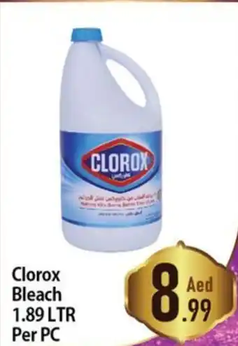 Day To Day Clorox Bleach 1.89 LTR Per PC offer
