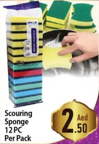 Day To Day Scouring Sponge 12 PC Per Pack offer