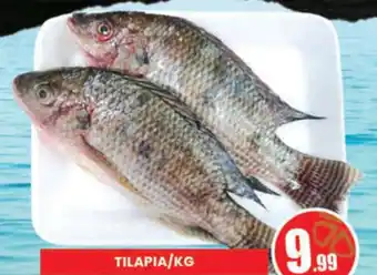 Al Madina Hypermarket TILAPIA/KG offer