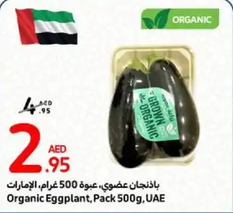 Carrefour Organic Eggplant Pack 500g offer