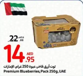 Carrefour Premium Blueberries Pack 250g offer