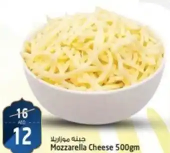Safari Hypermarket Mozzarella Cheese 500gm offer