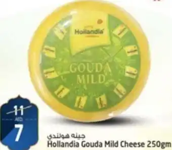 Safari Hypermarket Hollandia Gouda Mild Cheese 250gm offer
