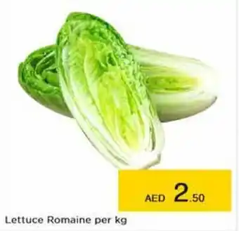 Nesto Lettuce Romaine per kg offer